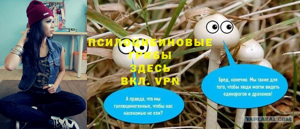 бошки Балахна