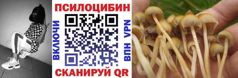 наркотики Каневская Псилоцибиновые грибы Magic Shrooms